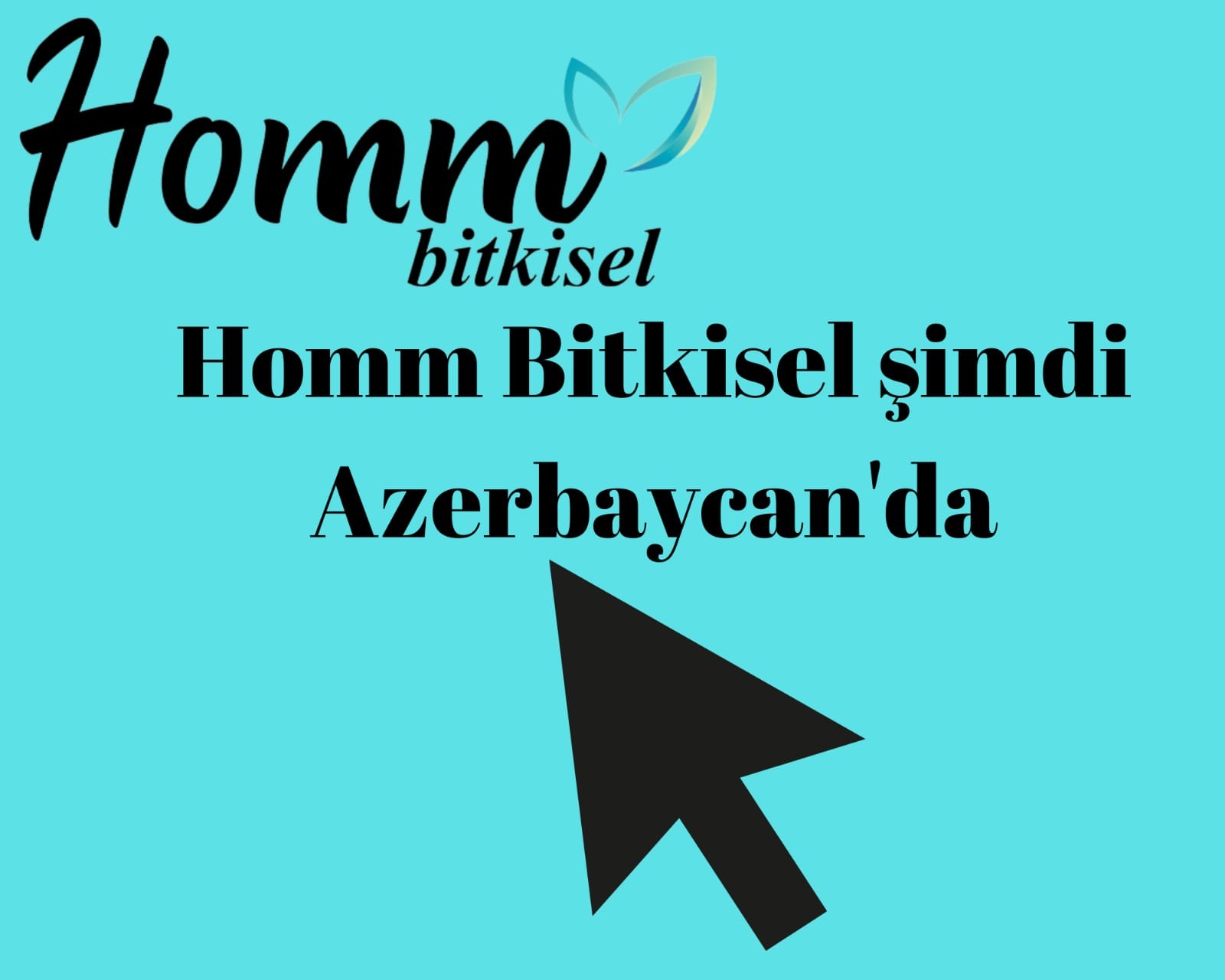 Homm Bitkisel Azerbeycan'da